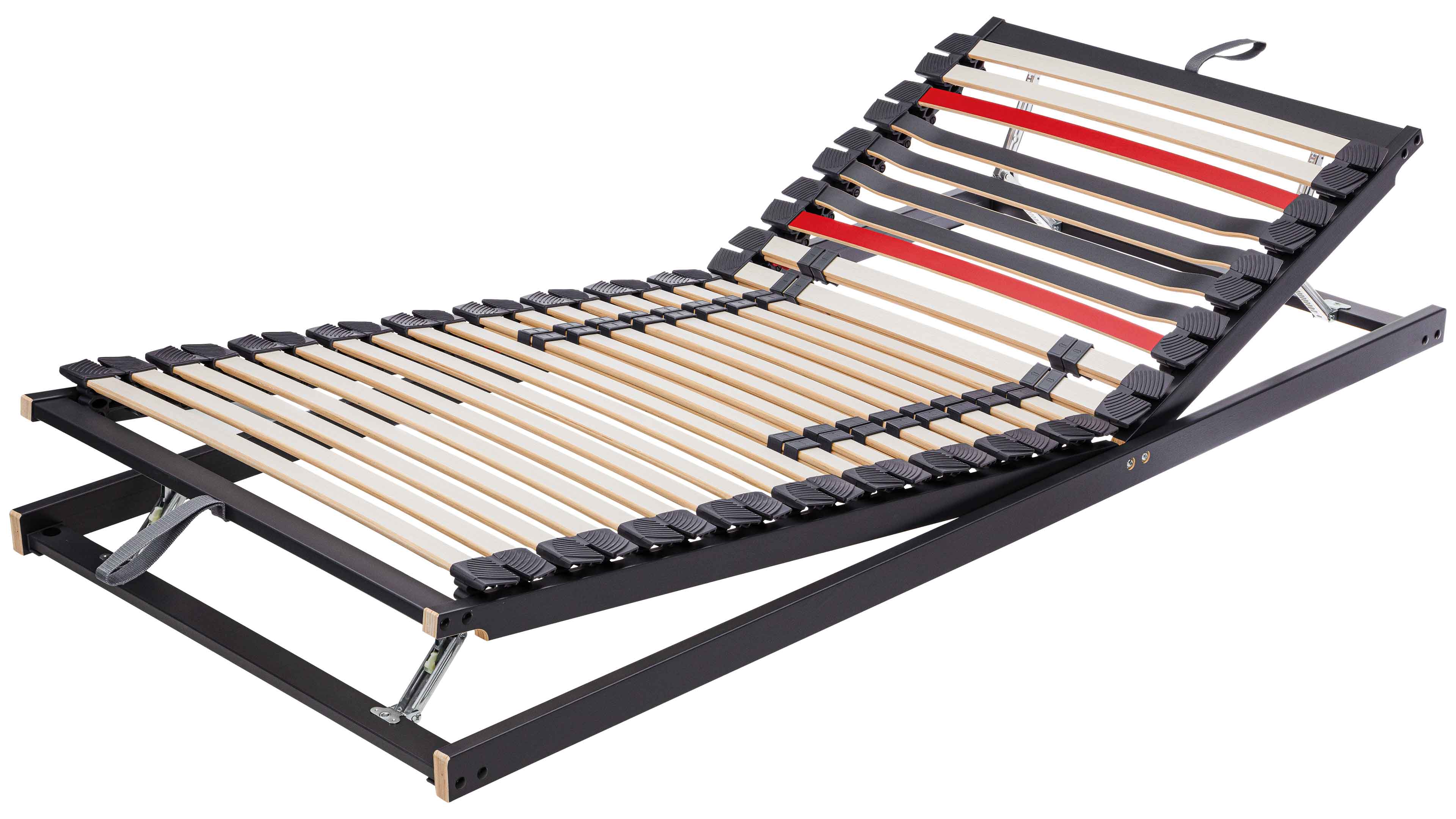 Interliving Lattenrost Serie 1950