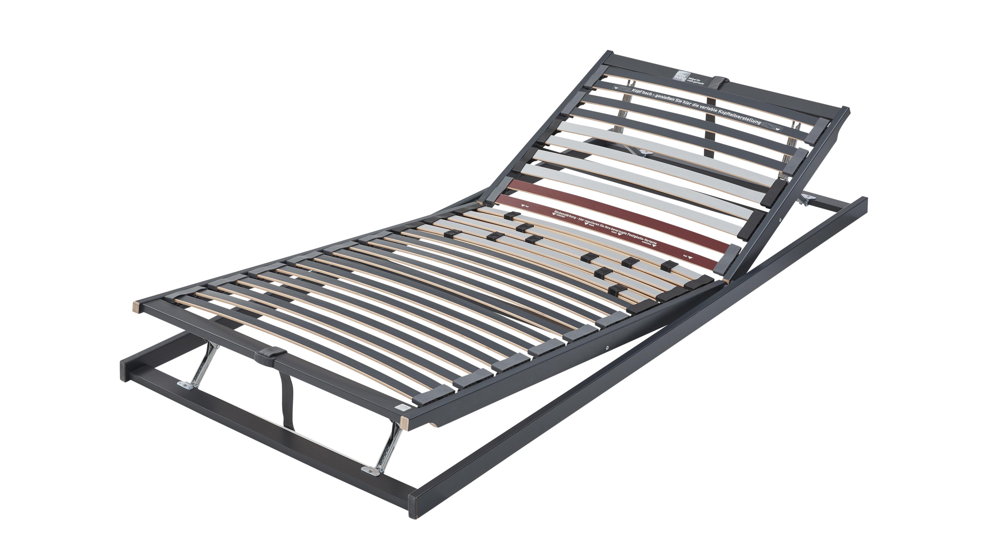 Interliving Lattenrost Serie 1941 Interliving Lattenrost Serie 1941