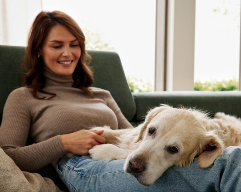 Interliving Sofa Serie 4303 - Jetzt Pfotenstoffe für Haustiere entdecken!